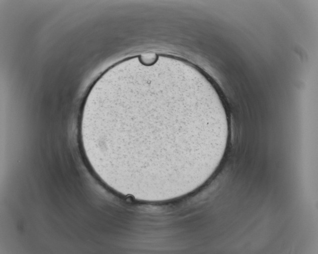 X0000113901500200910221427