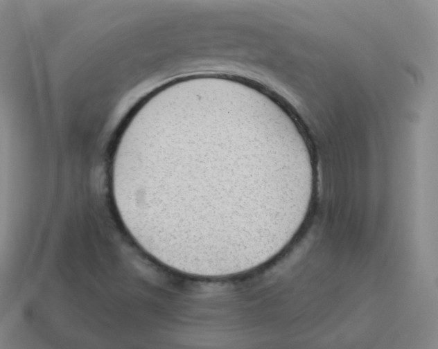 X0000113901501200910221427