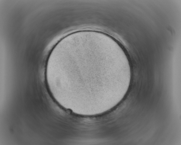 X0000113901504200910221427