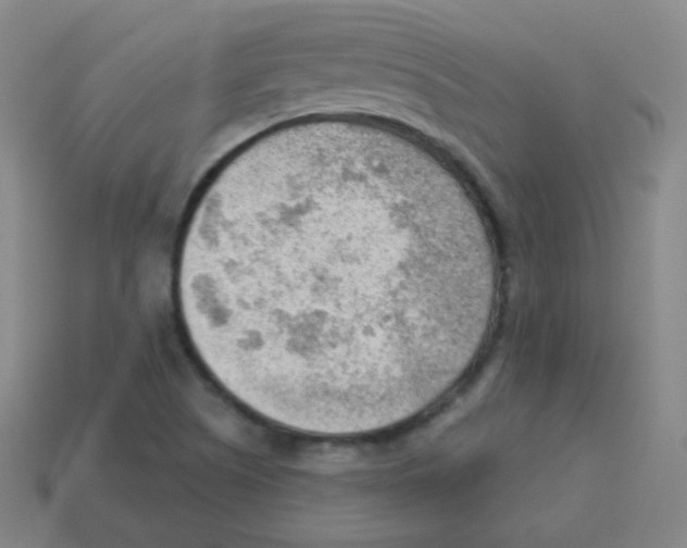 X0000113901505200910221427