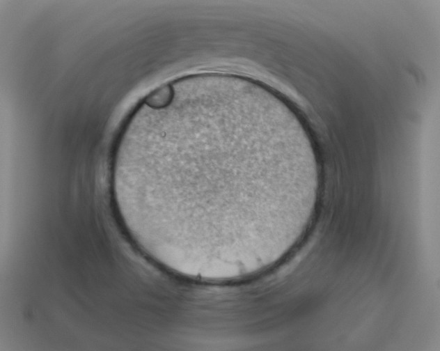 X0000113901506200910221427