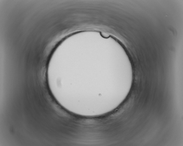 X0000113901507200910221427