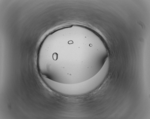 X0000113901508200910221427