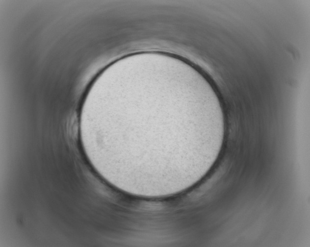 X0000113901509200910221427