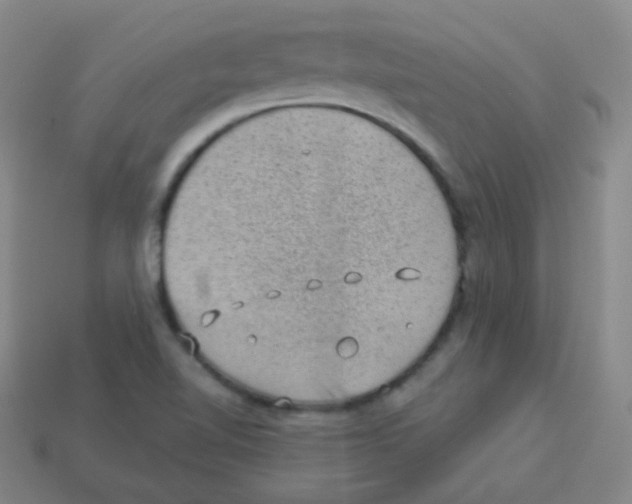 X0000113901510200910221427