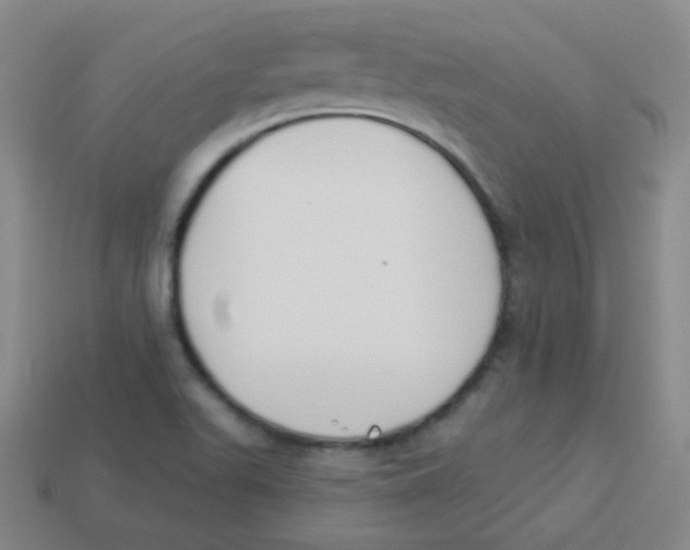 X0000113901511200910221427