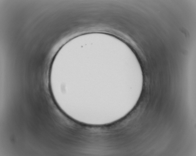 X0000113901512200910221427