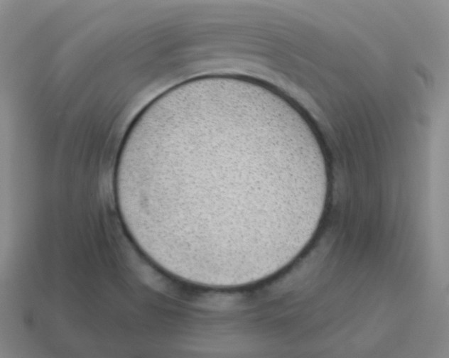 X0000113901513200910221427