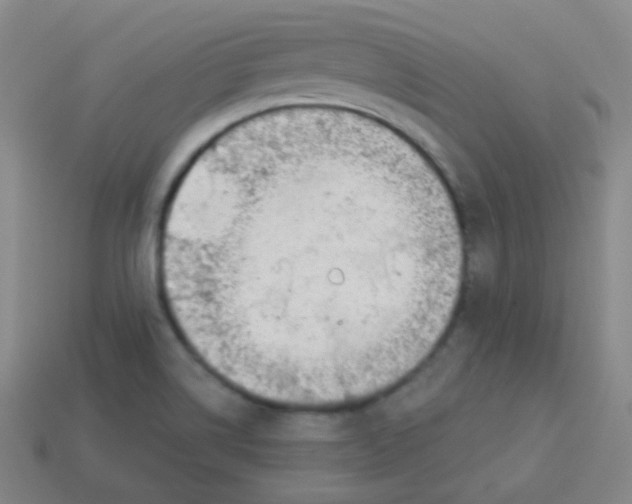 X0000113901514200910221427