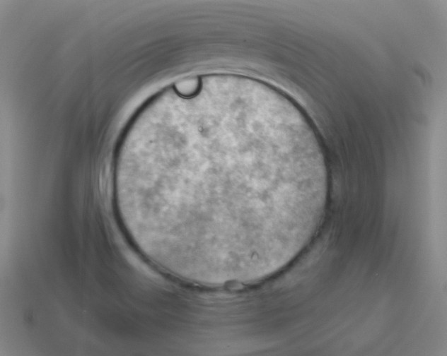 X0000113901515200910221427