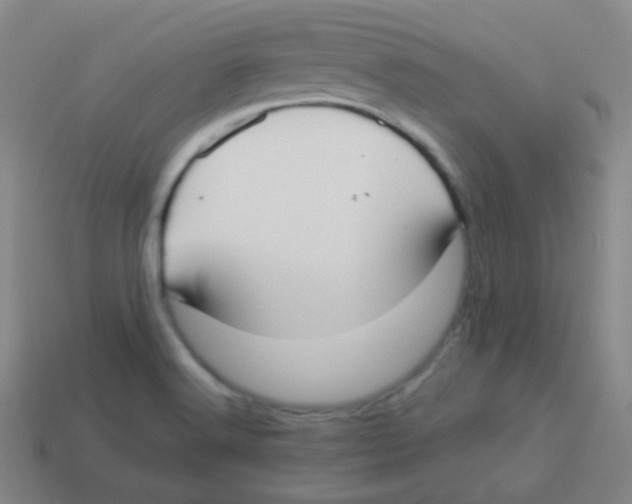 X0000113901516200910221427