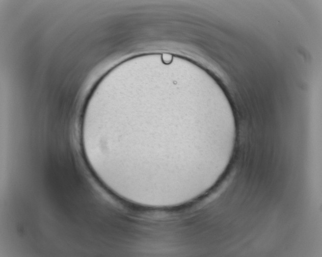 X0000113901517200910221427