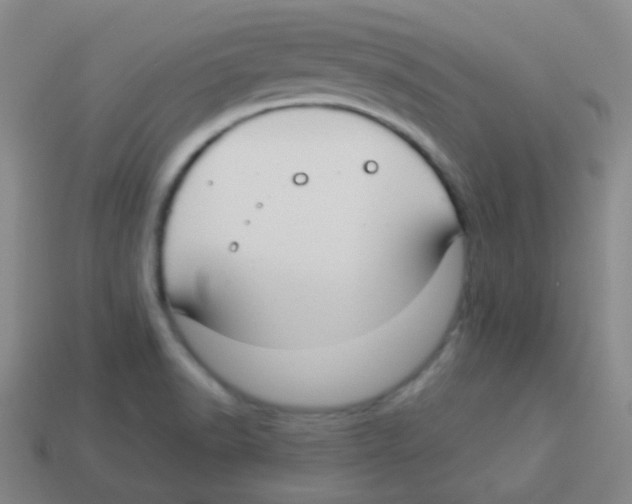 X0000113901518200910221427