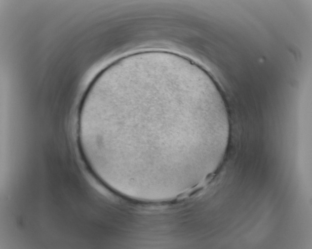 X0000113901519200910221427