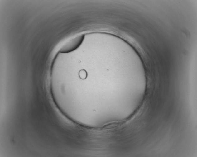 X0000113901520200910221427