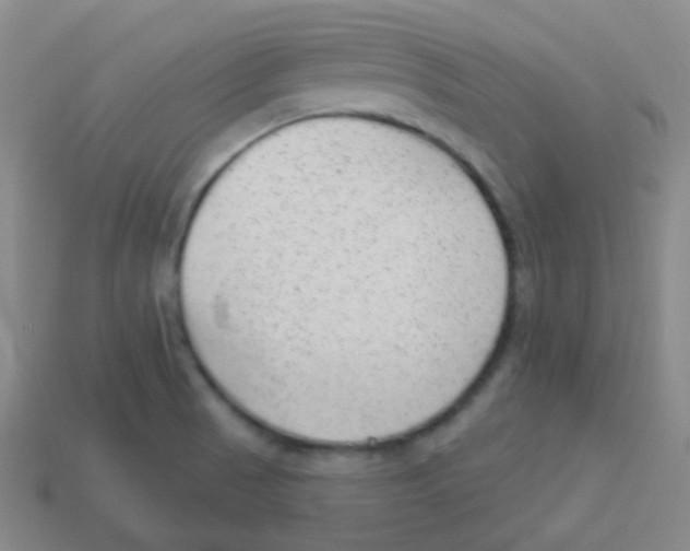 X0000113901521200910221427