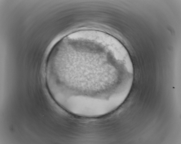 X0000113901522200910221427