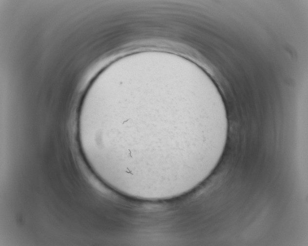 X0000113901523200910221427