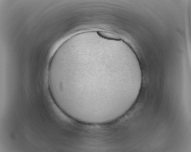 X0000113901524200910221427