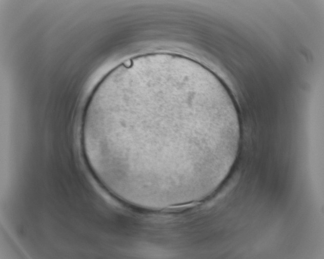 X0000113901525200910221427