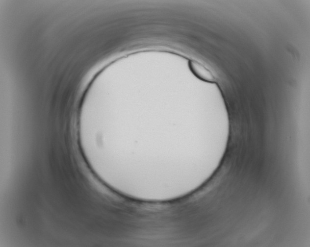 X0000113901526200910221427