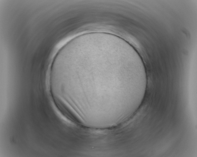 X0000113901528200910221427