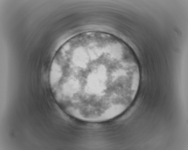 X0000113901529200910221427