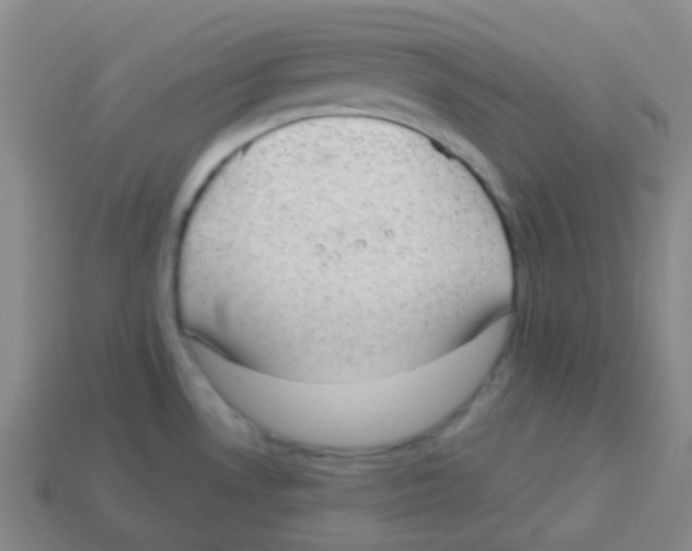 X0000113901530200910221427