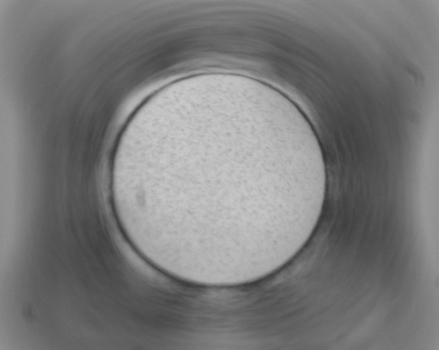 X0000113901531200910221427