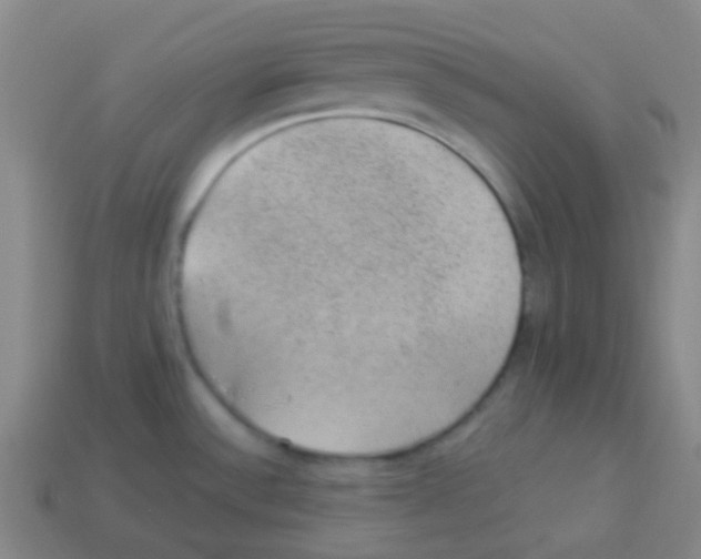 X0000113901532200910221427