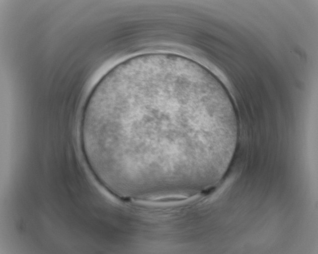 X0000113901533200910221427