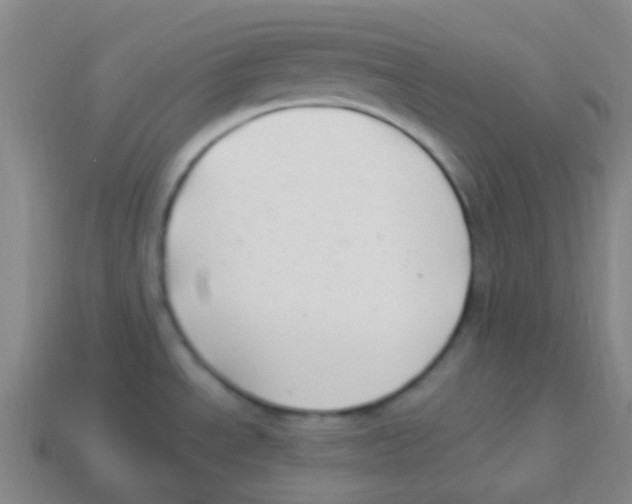 X0000113901534200910221427