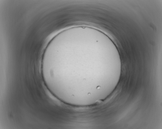 X0000113901535200910221427