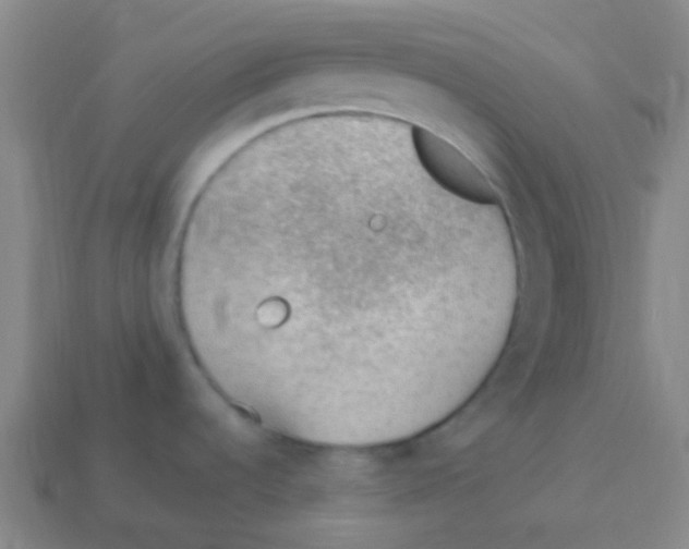 X0000113901536200910221427