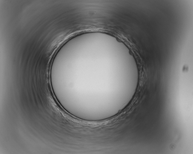 X0000113910002200909241316