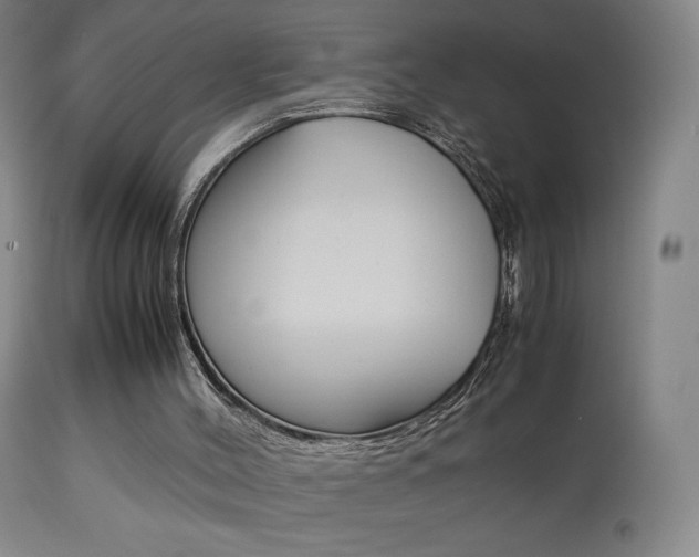 X0000113910004200909241316