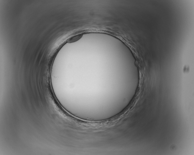 X0000113910005200909241316