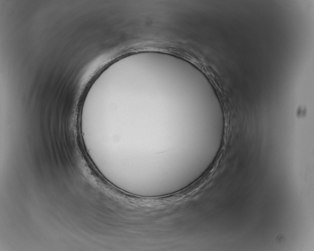 X0000113910006200909241316