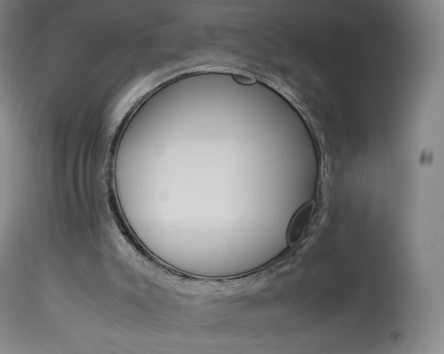 X0000113910007200909241316
