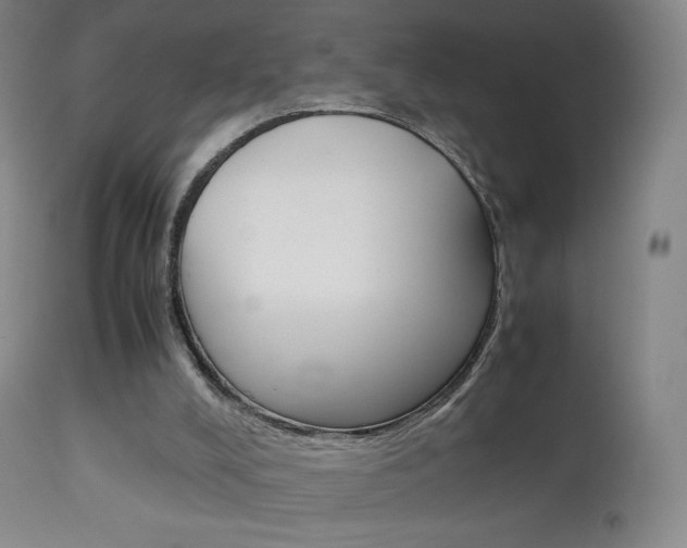 X0000113910008200909241316