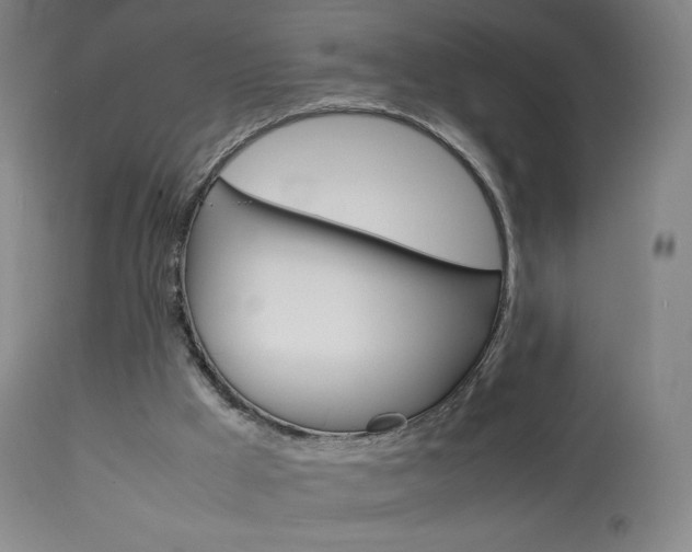 X0000113910009200909241316