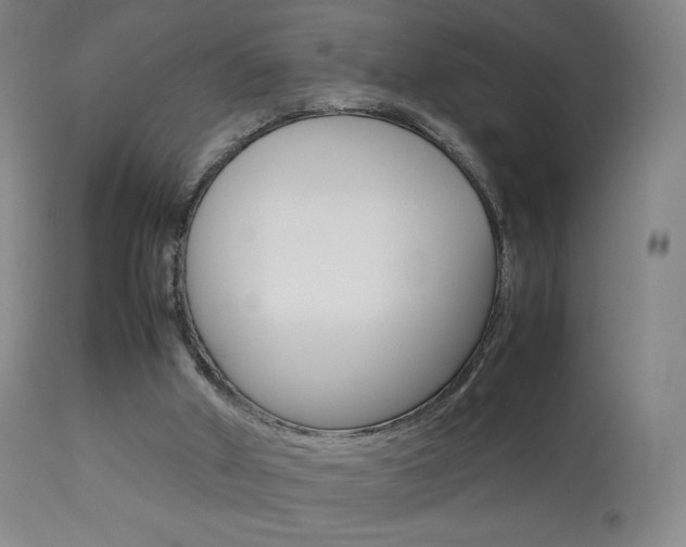 X0000113910010200909241316