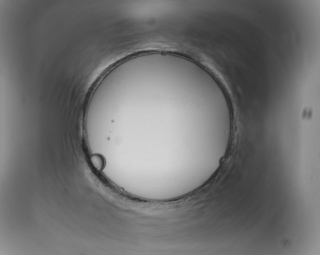X0000113910011200909241316