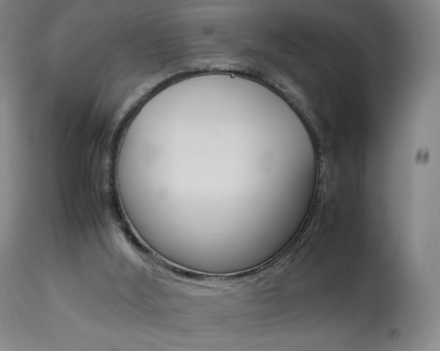 X0000113910012200909241316