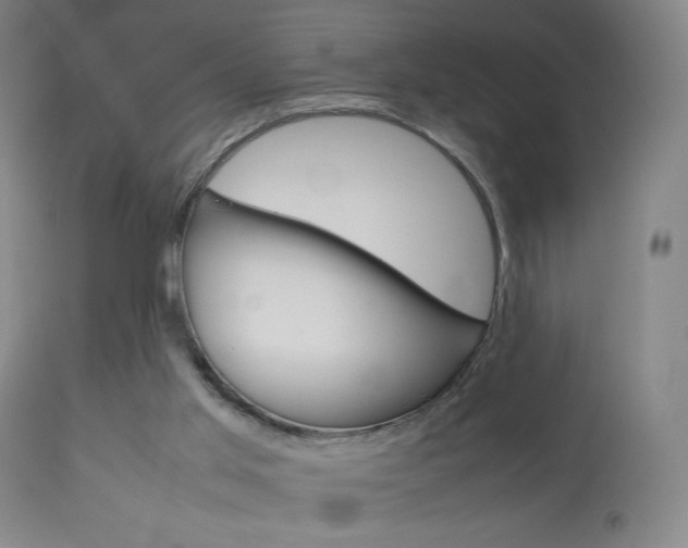 X0000113910013200909241316