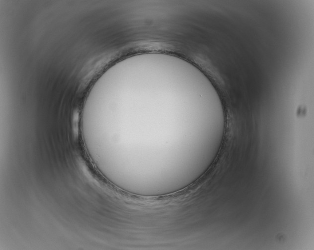 X0000113910014200909241316