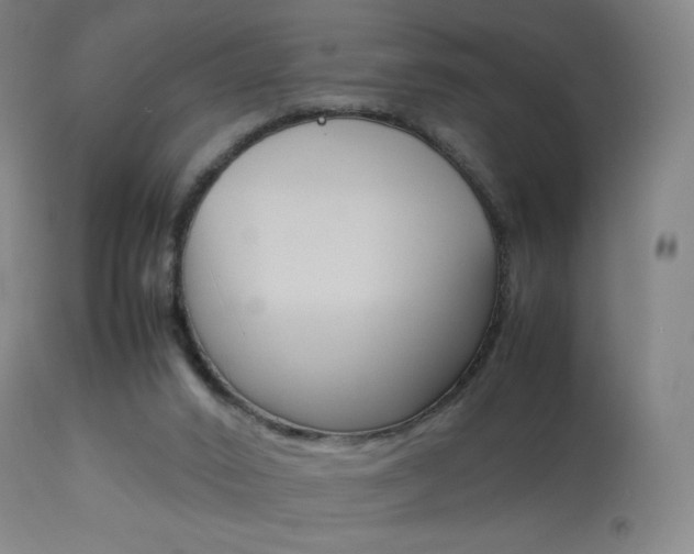 X0000113910016200909241316