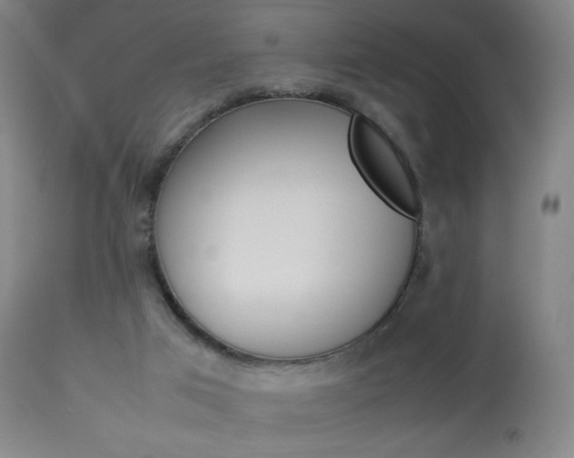 X0000113910017200909241316