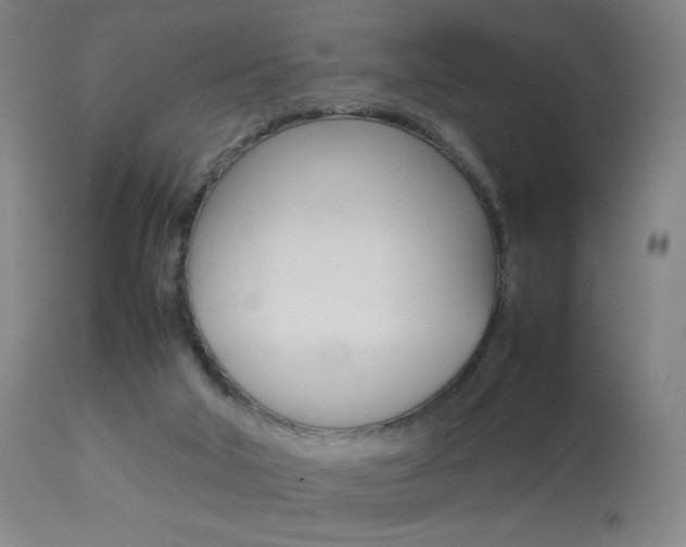 X0000113910018200909241316