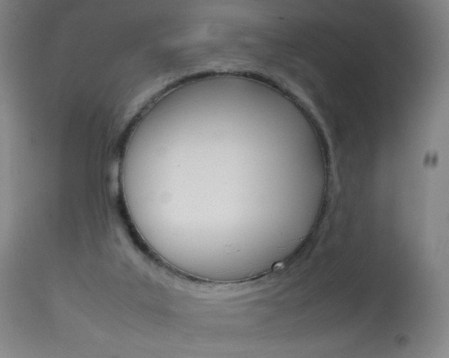 X0000113910019200909241316